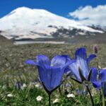 НОВЫЙ ГОД ! КАБАРДИНО-БАЛКАРИИ