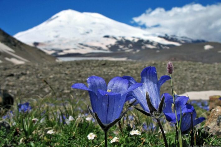 НОВЫЙ ГОД ! КАБАРДИНО-БАЛКАРИИ