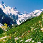 ДОМБАЙ-ТЕБЕРДА-АРХЫЗ