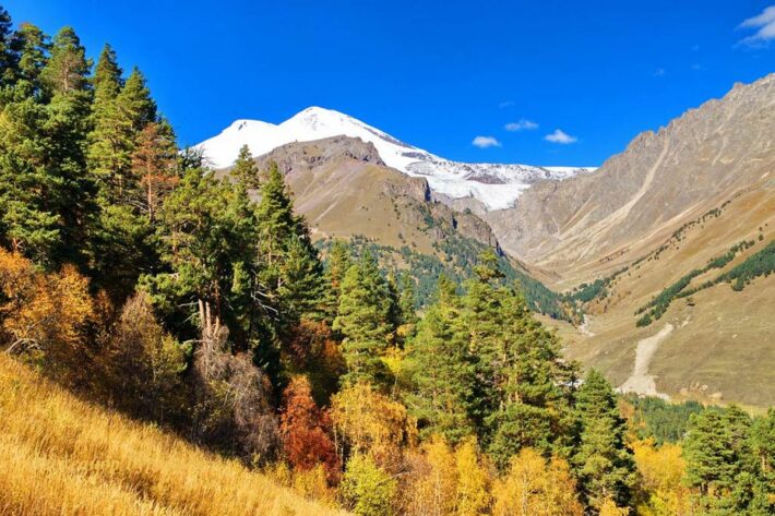 НОВЫЙ ГОД ! КАБАРДИНО-БАЛКАРИИ