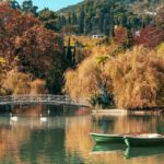 АБХАЗИЯ -праздник молодого вина