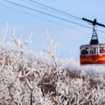 НОВЫЙ ГОД В ГОРАХ : КМВ +Эльбрус