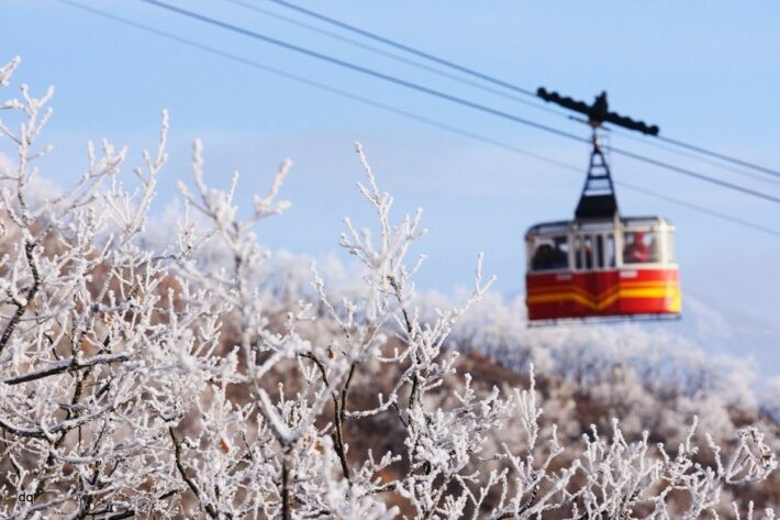 НОВЫЙ ГОД В ГОРАХ : КМВ +Эльбрус